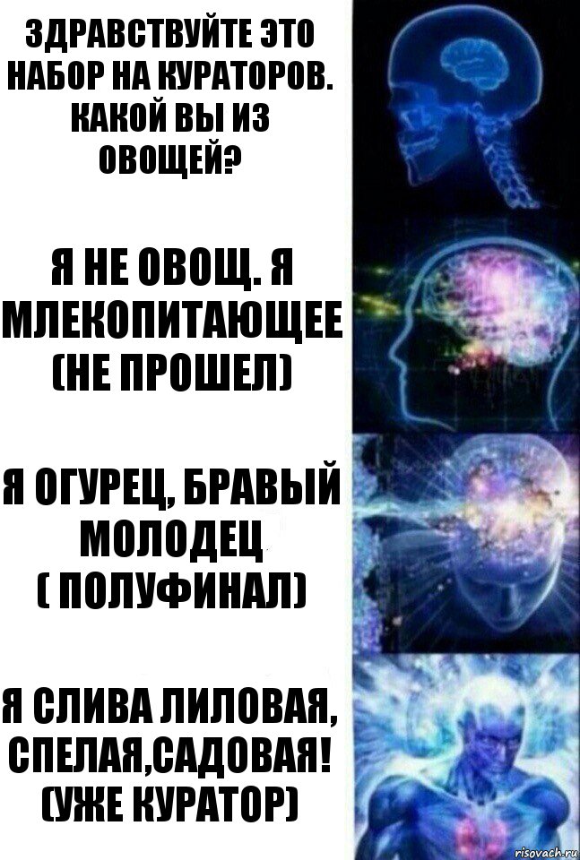 Здравствуйте это набор на кураторов. какой вы из овощей? Я не овощ. я млекопитающее
(не прошел) Я огурец, бравый молодец
( полуфинал) Я слива лиловая, спелая,садовая!
(уже куратор), Комикс  Сверхразум