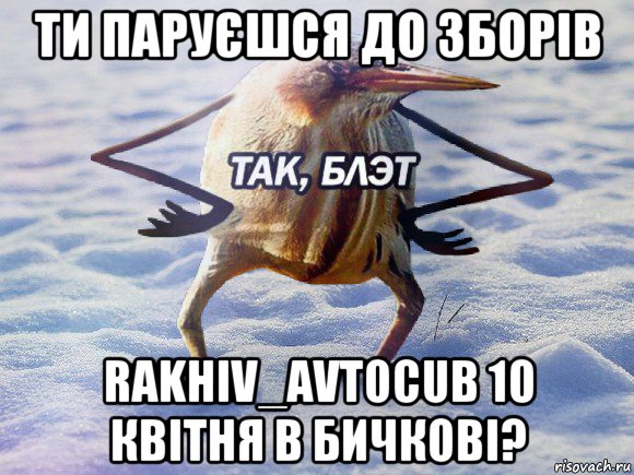 ти паруєшся до зборів rakhiv_avtocub 10 квітня в бичкові?, Мем  Так блэт птица с руками