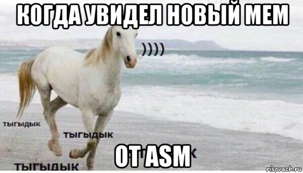 когда увидел новый мем от asm, Мем   Тыгыдык