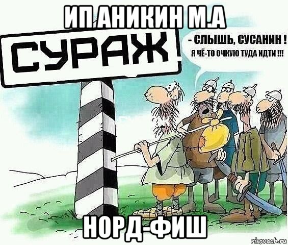 ип аникин м.а норд-фиш, Мем tytyt