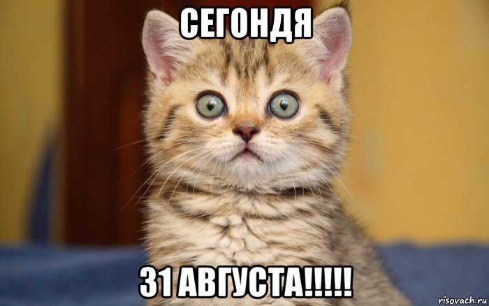 сегондя 31 августа!!!!!