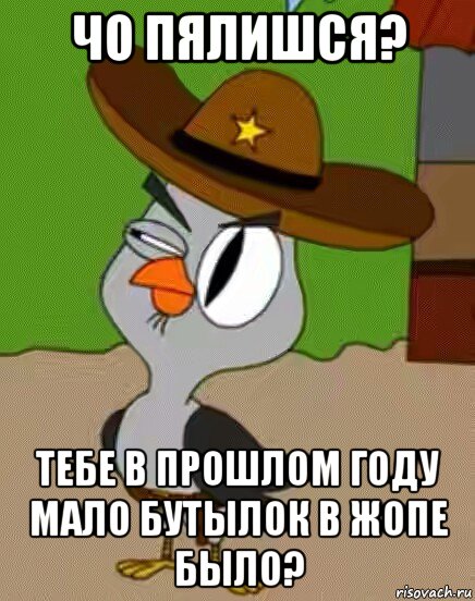 чо пялишся? тебе в прошлом году мало бутылок в жопе было?, Мем    Упоротая сова