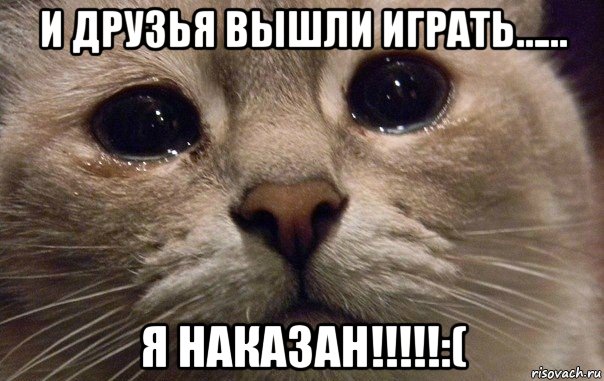 и друзья вышли играть…… я наказан!!!!!:(, Мем   В мире грустит один котик