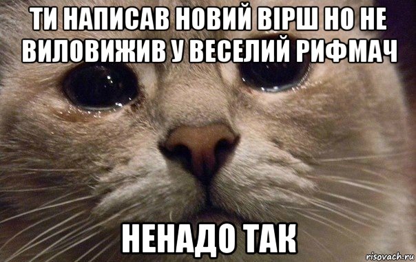 ти написав новий вірш но не виловижив у веселий рифмач ненадо так, Мем   В мире грустит один котик