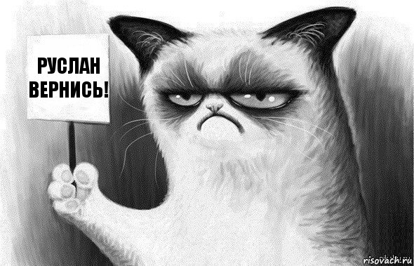 Руслан вернись!, Комикс Угрюмый кот с табличкой