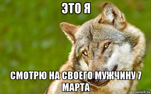 это я смотрю на своего мужчину 7 марта, Мем   Volf