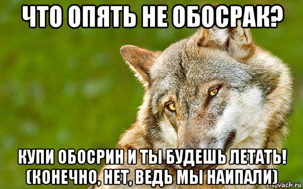 что опять не обосрак? купи обосрин и ты будешь летать! (конечно, нет, ведь мы наипали), Мем   Volf