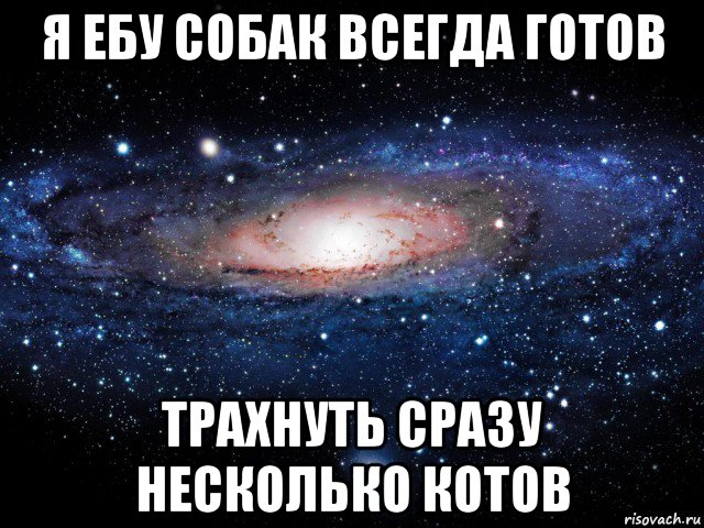 я ебу собак всегда готов трахнуть сразу несколько котов