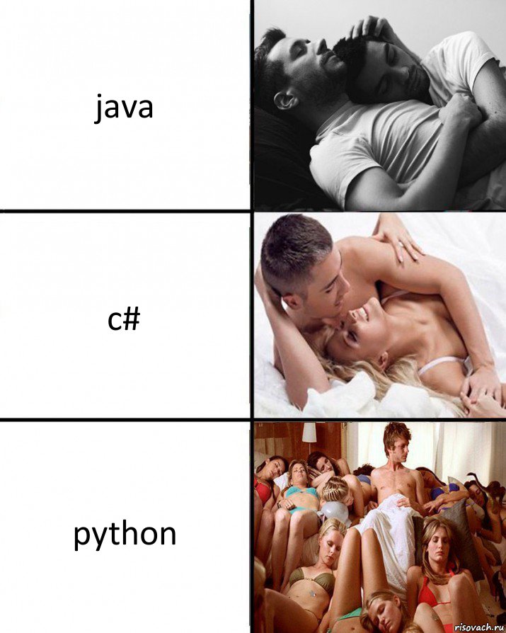 java c# python, Комикс  Выбор