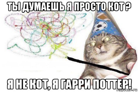 ты думаешь я просто кот ? я не кот, я гарри поттер!, Мем Вжух мем