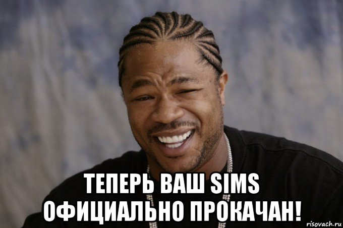  теперь ваш sims официально прокачан!