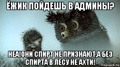 ёжик пойдешь в админы? неа!они спирт не признают,а без спирта в лесу не ахти!