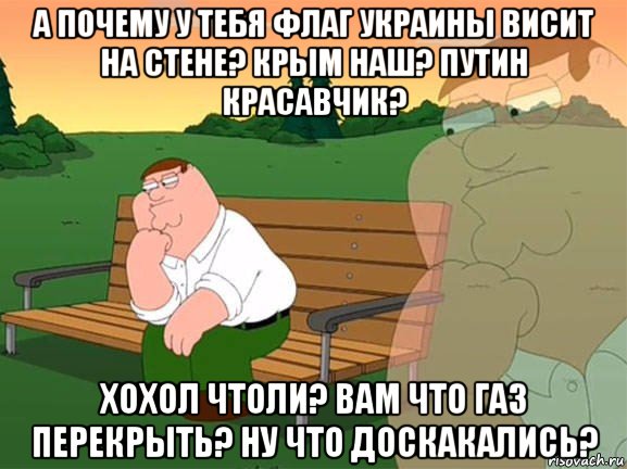 а почему у тебя флаг украины висит на стене? крым наш? путин красавчик? хохол чтоли? вам что газ перекрыть? ну что доскакались?, Мем Задумчивый Гриффин