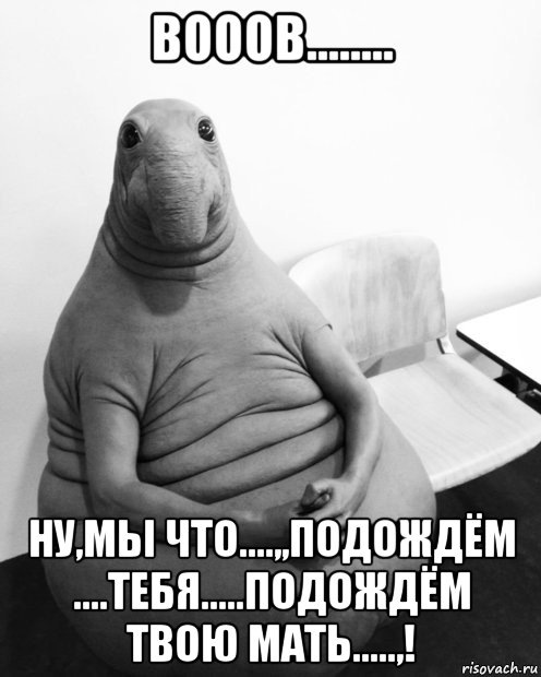 вооов........ ну,мы что....,,подождём ....тебя.....подождём твою мать.....,!, Мем  Ждун