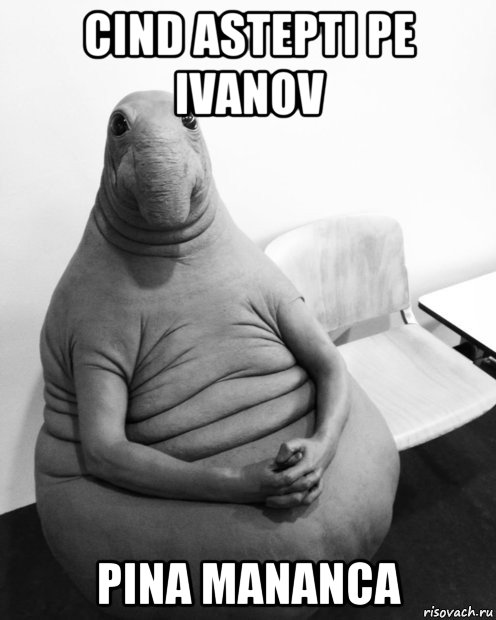 cind astepti pe ivanov pina mananca, Мем  Ждун