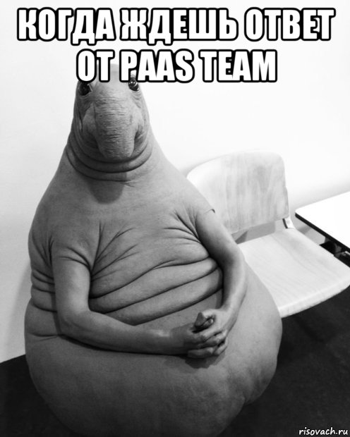 когда ждешь ответ от paas team , Мем  Ждун