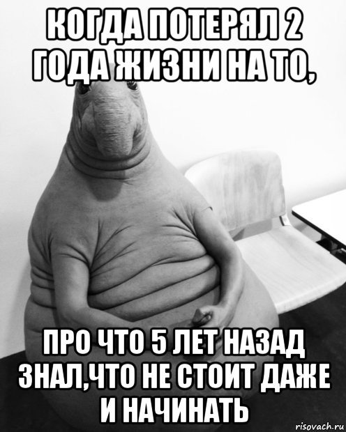 когда потерял 2 года жизни на то, про что 5 лет назад знал,что не стоит даже и начинать, Мем  Ждун