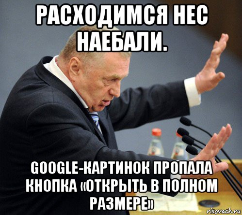 расходимся нес наебали. google-картинок пропала кнопка «открыть в полном размере», Мем Жириновский узбагойся