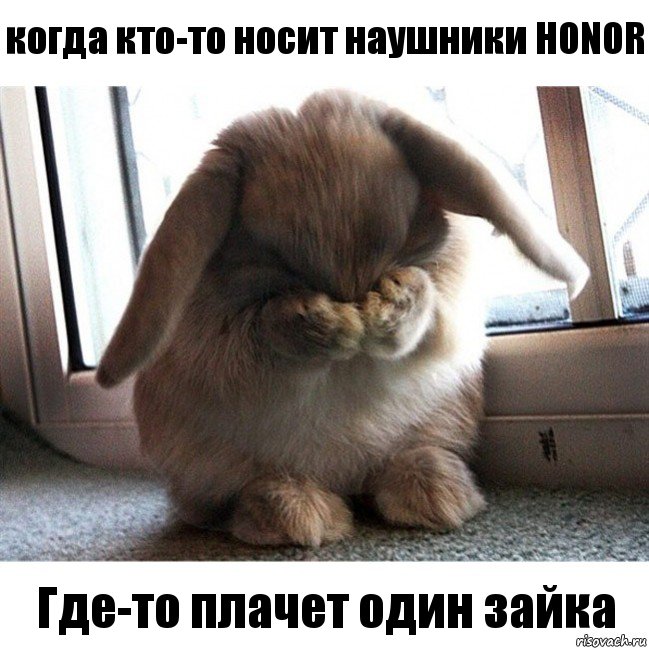 когда кто-то носит наушники HONOR Где-то плачет один зайка, Комикс  Плачет зайка