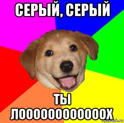 серый, серый ты лоооооооооооох, Мем Advice Dog