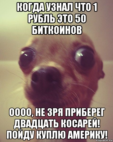 когда узнал что 1 рубль это 50 биткоинов оооо, не зря приберег двадцать косарей! пойду куплю америку!, Мем  Аргументный аргумент