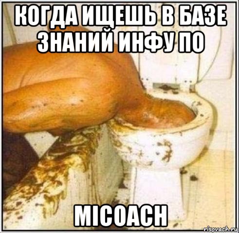 когда ищешь в базе знаний инфу по micoach, Мем Дайвер