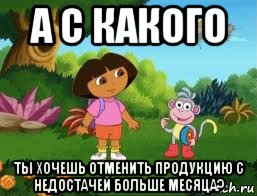 а с какого ты хочешь отменить продукцию с недостачей больше месяца?, Мем Даша следопыт