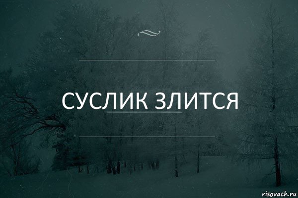 Суслик злится