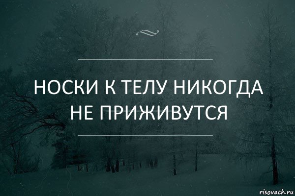 Носки к телу никогда не приживутся, Комикс Игра слов 5