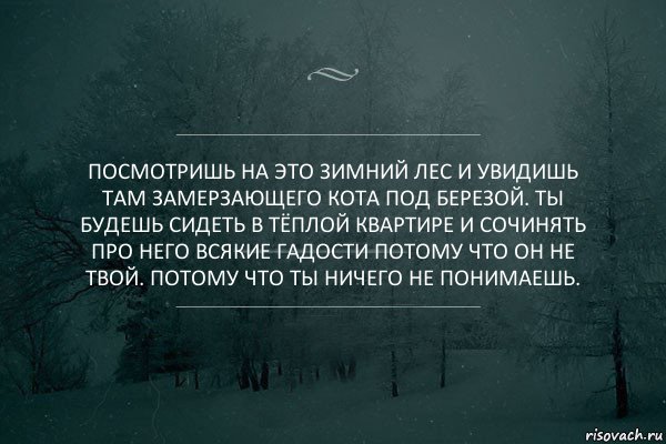 Посмотришь на это зимний лес и увидишь там замерзающего кота под березой. Ты будешь сидеть в тёплой квартире и сочинять про него всякие гадости потому что он не твой. Потому что ты ничего не понимаешь.