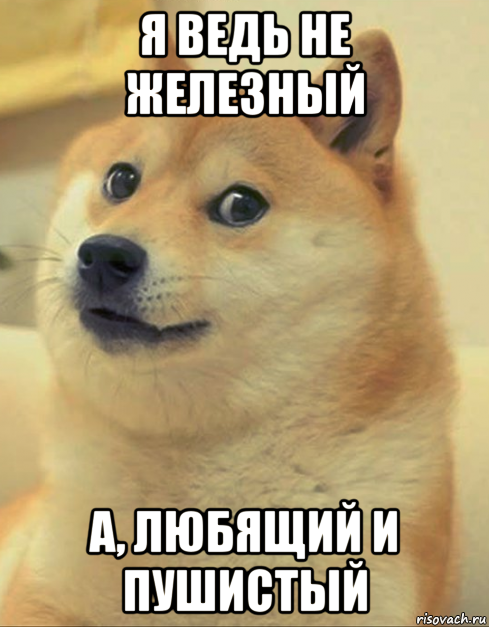 я ведь не железный а, любящий и пушистый, Мем doge woof