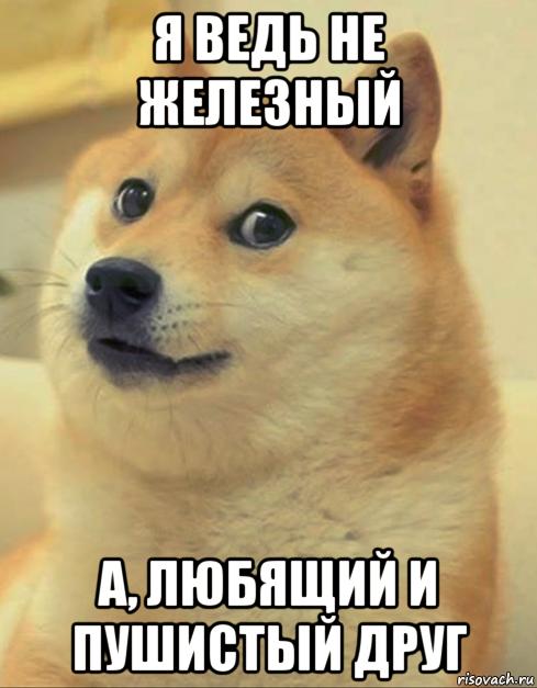 я ведь не железный а, любящий и пушистый друг, Мем doge woof