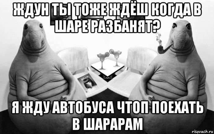 ждун ты тоже ждёш когда в шаре разбанят? я жду автобуса чтоп поехать в шарарам