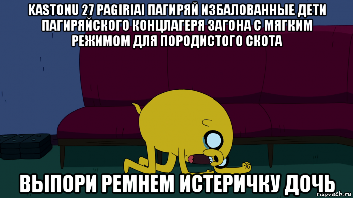 kastonu 27 pagiriai пагиряй избалованные дети пагиряйского концлагеря загона с мягким режимом для породистого скота выпори ремнем истеричку дочь, Мем     джейк плачет