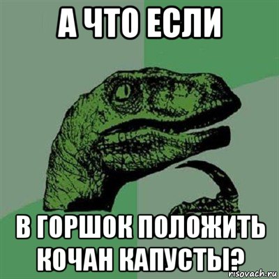 а что если в горшок положить кочан капусты?, Мем Филосораптор