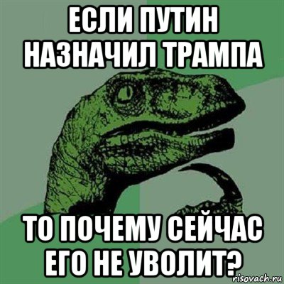 если путин назначил трампа то почему сейчас его не уволит?, Мем Филосораптор