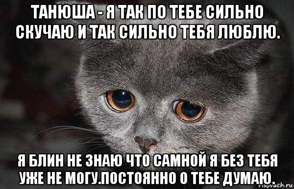 танюша - я так по тебе сильно скучаю и так сильно тебя люблю. я блин не знаю что самной я без тебя уже не могу.постоянно о тебе думаю., Мем  Грустный кот