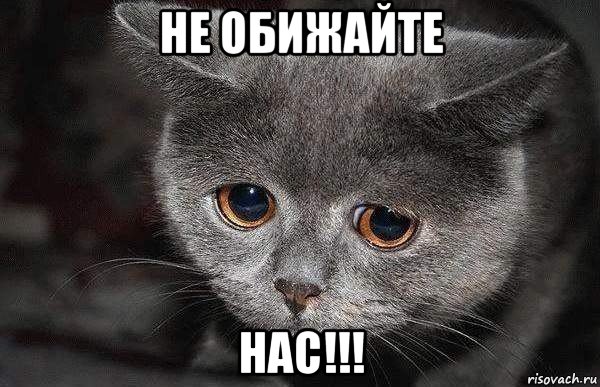 не обижайте нас!!!