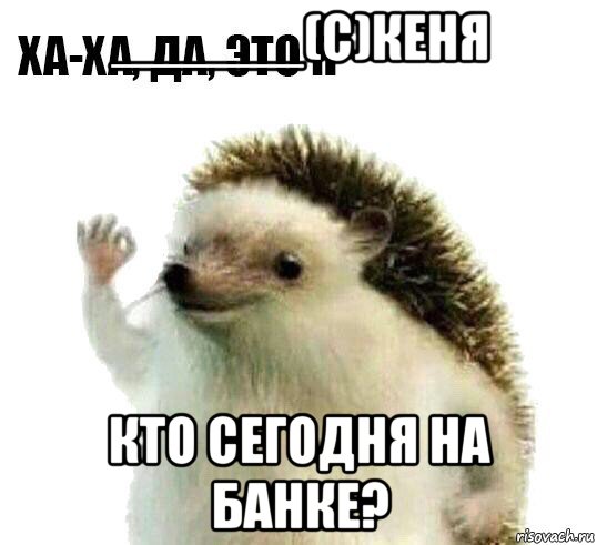 ______(с)кеня кто сегодня на банке?, Мем Ха-ха да это я