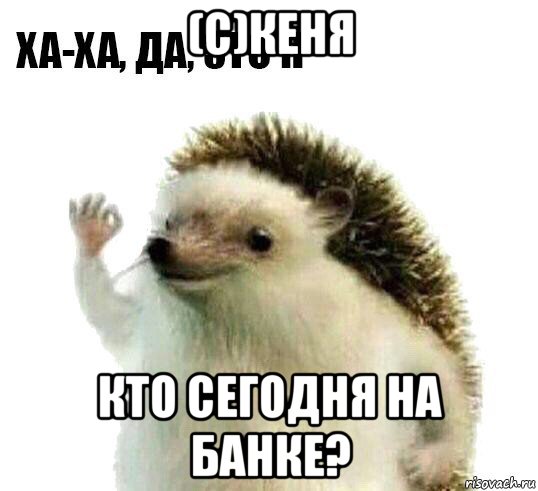 (с)кеня кто сегодня на банке?, Мем Ха-ха да это я