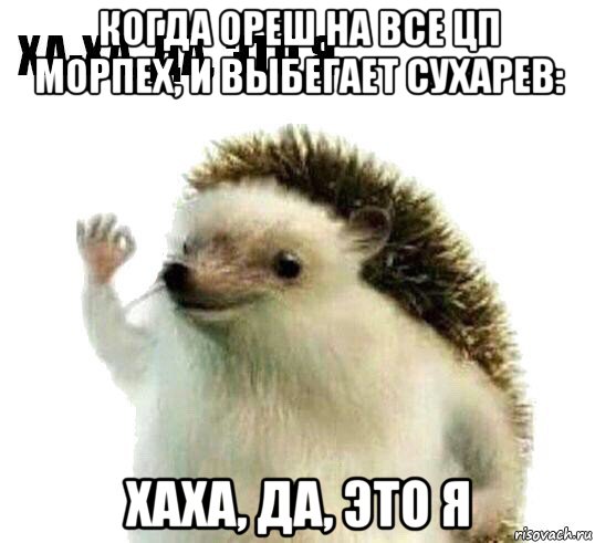 когда ореш на все цп морпех, и выбегает сухарев: хаха, да, это я, Мем Ха-ха да это я