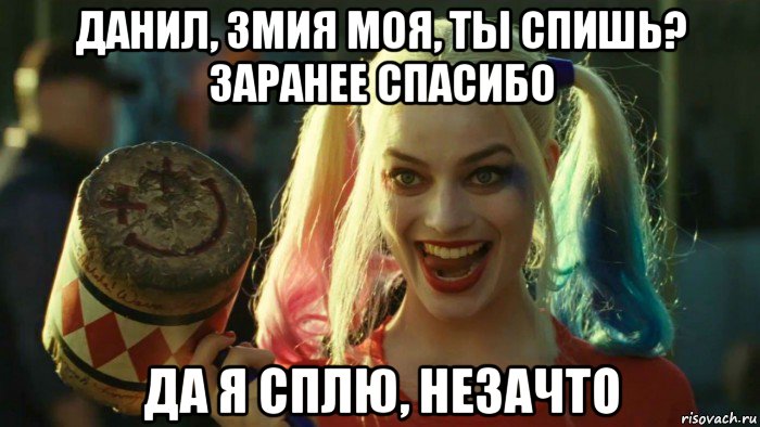 данил, змия моя, ты спишь? заранее спасибо да я сплю, незачто, Мем    Harley quinn