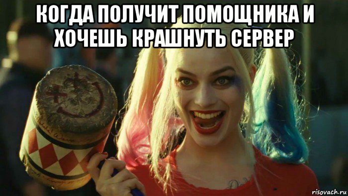 когда получит помощника и хочешь крашнуть сервер , Мем    Harley quinn