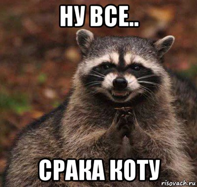 ну все.. срака коту