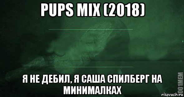 pups mix (2018) я не дебил, я саша спилберг на минималках, Мем Игра слов 2