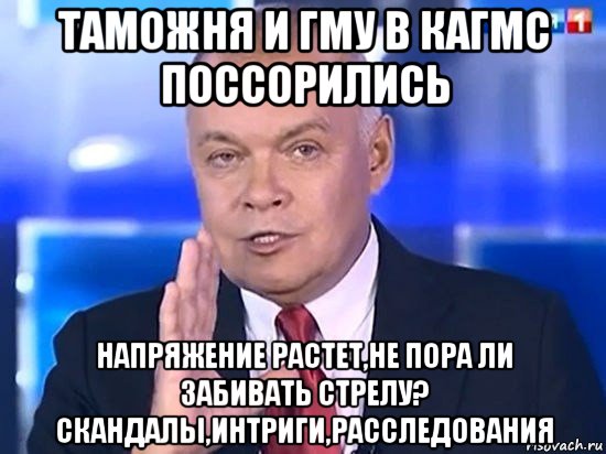 таможня и гму в кагмс поссорились напряжение растет,не пора ли забивать стрелу? скандалы,интриги,расследования, Мем Киселёв 2014