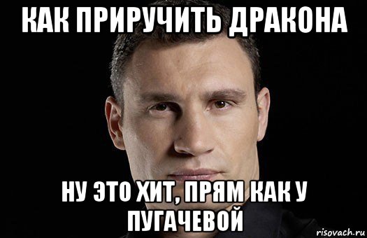 как приручить дракона ну это хит, прям как у пугачевой, Мем Кличко