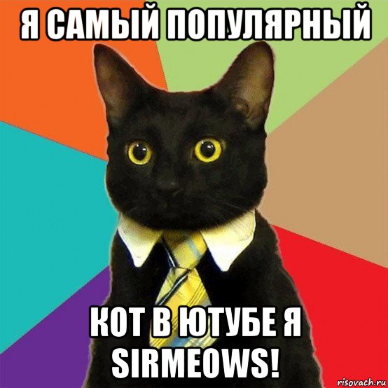 я самый популярный кот в ютубе я sirmeows!, Мем  Кошечка