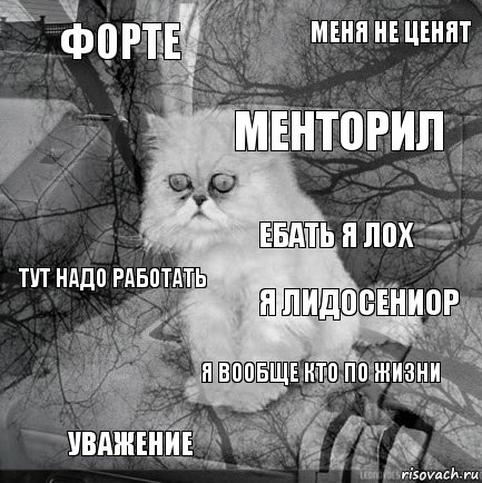 Форте Я лидосениор Менторил Уважение Тут надо работать Меня не ценят Я вообще кто по жизни   Ебать я лох, Комикс  кот безысходность