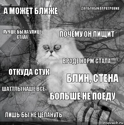 а может ближе блин, стена почему он пищит лишь бы не цепануть откуда стук долбаный парктроник больше не поеду лучше бы на улице стала шаттлы наше всё вроде норм стала, Комикс  кот безысходность